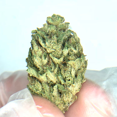 Rip-N-Shred - SUVER HAZE - Waco Hemp Farm - High Grade Craft Hemp Flower w/built in grinder